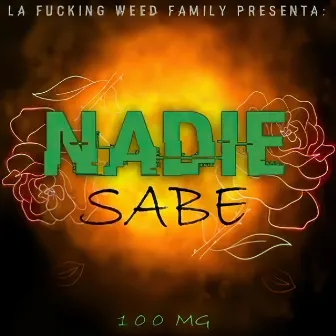 Nadie Sabe by mr 100MG