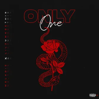 Only One by LilzUmadethis