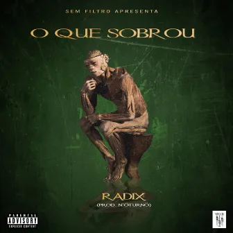 O Que Sobrou by Radix