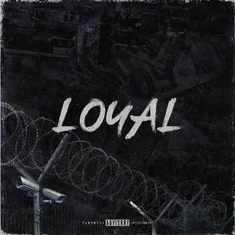 LOYAL by SPLIT