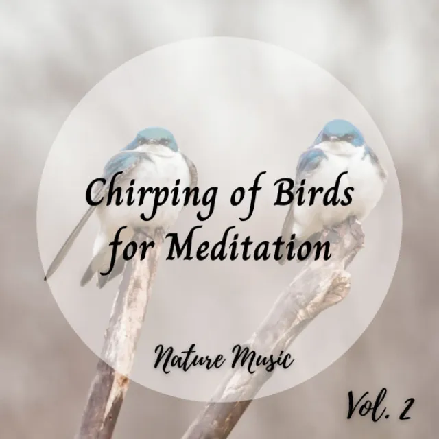 Nature Music: Chirping of Birds for Meditation Vol. 2