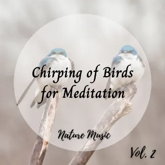 Nature Music: Chirping of Birds for Meditation Vol. 2 by Nature's Noise