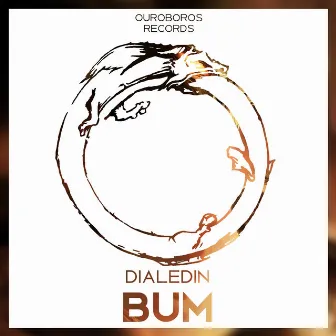 Bum by DialedIN