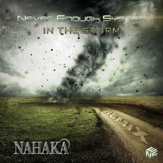 In The Storm by Never Enough System