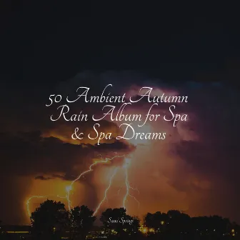 50 Ambient Autumn Rain Album for Spa & Spa Dreams by Deep Sleep Brown Noise