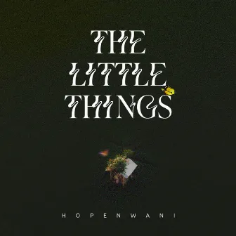 The Little Things by Hope Nwani