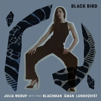 Black Bird by Julia Werup