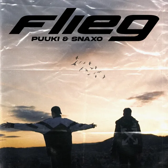 Flieg