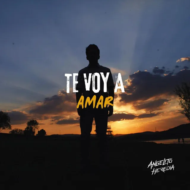 Te voy a amar