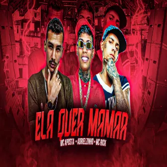 Ela Quer Mamar by MC Aposta