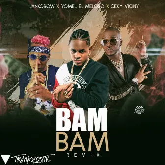 Bam Bam (Remix) by Jankobow