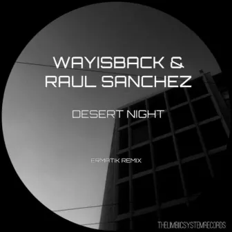 Desert Night by Raul Sanchez