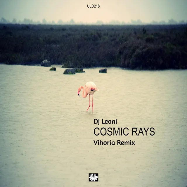 Cosmic Rays - Vihoria Remix