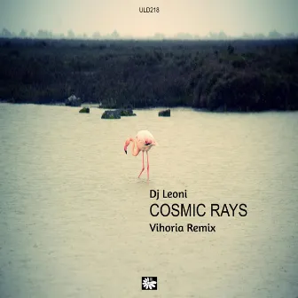 Cosmic Rays (Vihoria Remix) by Vihoria