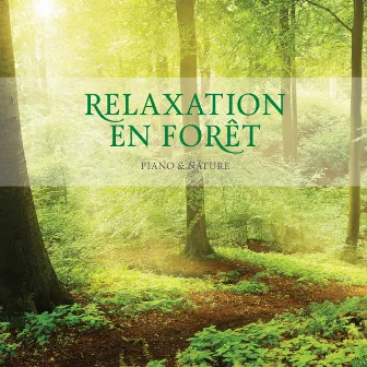 Relaxation En Foret by Stuart Jones