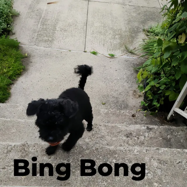 Bing Bong