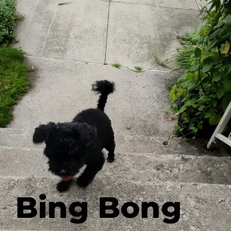 Bing Bong by Lil Ernie