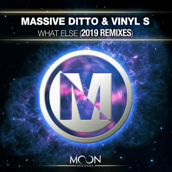 What Else (2019 Remixes) by Vinyls