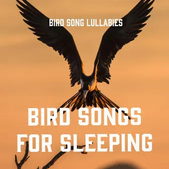 Bird Songs for Sleeping by Bird Song Lullabies