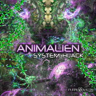 System Hijack by Animalien