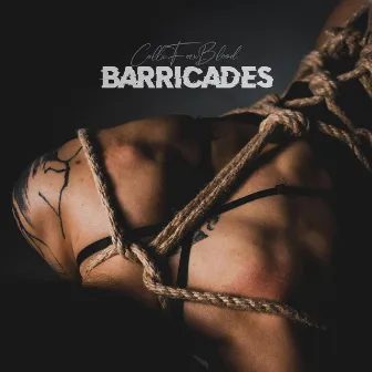 Barricades by CallxForxBlood