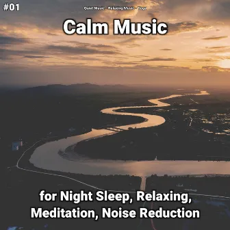 #01 Calm Music for Night Sleep, Relaxing, Meditation, Noise Reduction by Quiet Music