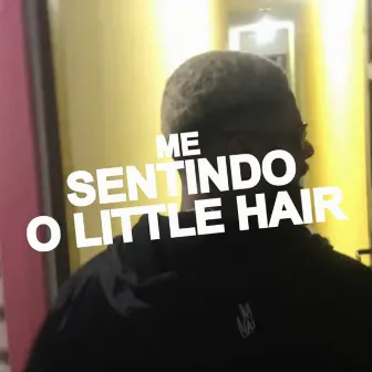 Me Sentindo o Little Hair by Johnny Lowd