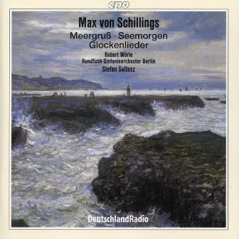 Schillings: Soltesz, Stefan by Max von Schillings