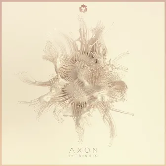 Intrinsic by Axon.