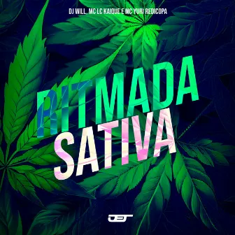 Ritmada Sativa by mc lc kaique