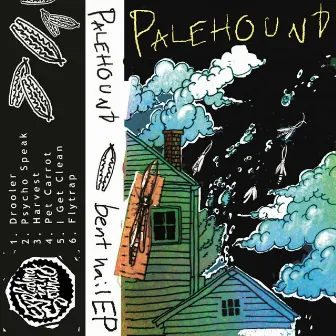 Bent Nail by Palehound