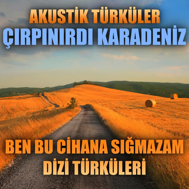 Akustik Türküler:Çırpınırdı Karadeniz (Ben Bu Cihana Sığmazam Dizi Türküleri) [Enstrümantal]