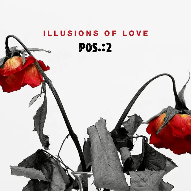 Illusions of Love - DiarBlack Remix