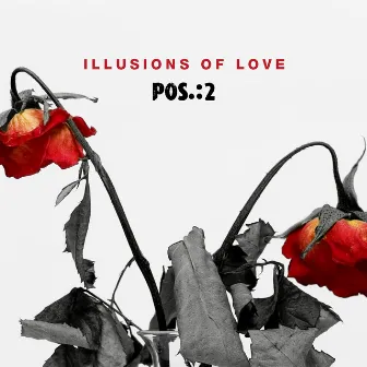 Illusions of Love by POS.:2