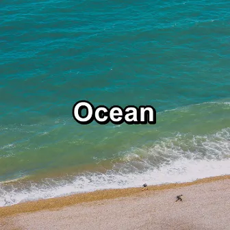 Ocean by Ocean Live