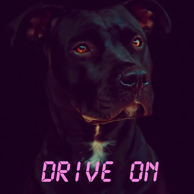 Drive On