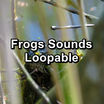 Frogs Sounds Loopable by Frog Sounds