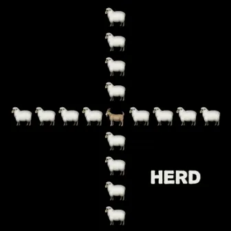 HERD by Ray Darko