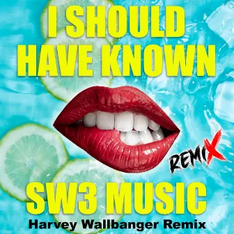 I Should Have Known (Remix) by Harvey Wallbanger