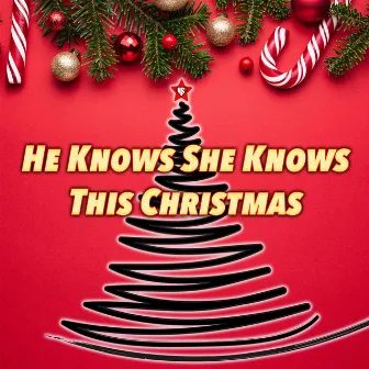 This Christmas by He Knows She Knows