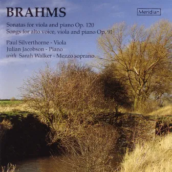 Brahms: Sonatas for Viola and Piano & Songs for Alto Voice, Viola and Piano by Paul Silverthorne