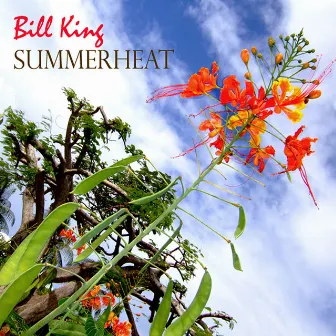 Summer Heat - The Jazz Collection, 1979-2008 by Bill King