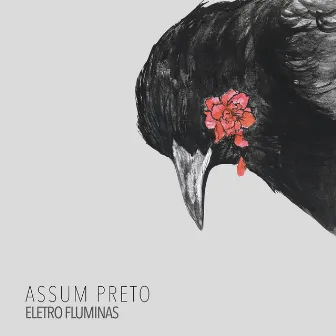 Assum Preto by Eletro Fluminas