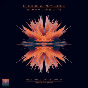 Better Way / Tell Me What You Want by D-Code & Psylence