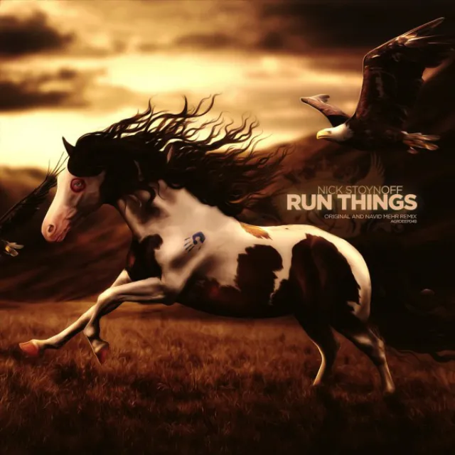 Run Things - Navid Mehr Remix