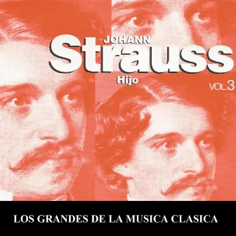 Los Grandes de la Musica Clasica - Johann Strauss Vol. 3 by Fritz Mareczek