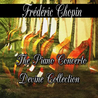 Frédéric Chopin: The Piano Concerto Divine Collection by Unknown Artist