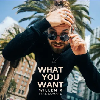 What You Want by Willem X