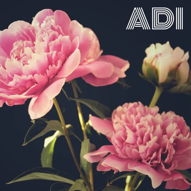 Adi