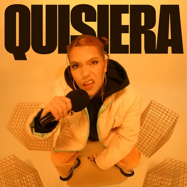 Quisiera